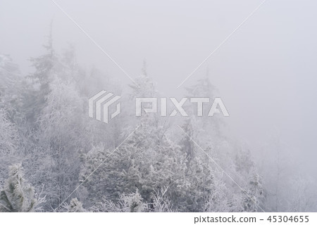 frosty haze over the forest frosty haze over the forest 45304655