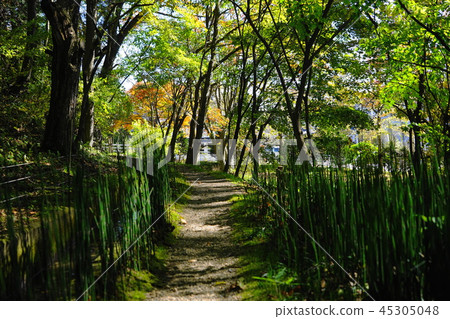 Alley of the Karuizawa 36 Tokusa Formerly Kanae Bunka Villa Amerika Building / Ichimura Memorial Hall in October 45305048