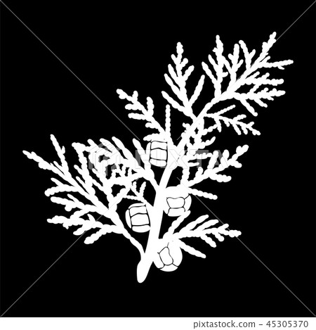 Cypress isolated logo icon. white silhouette. Cypress isolated logo icon. white silhouette. 45305370