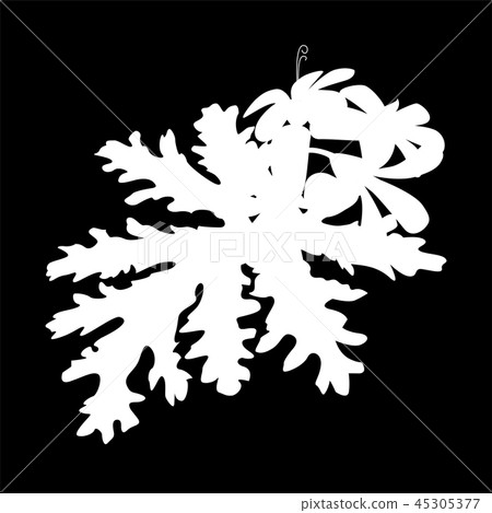 Rose geranium isolated logo icon. white silhouette Rose geranium isolated logo icon. white silhouette 45305377