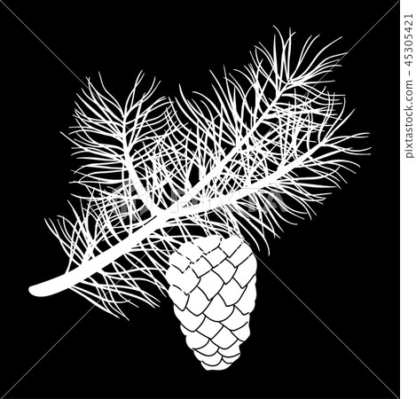 Pine tree branch and cone isolated logo icon Pine tree branch and cone isolated logo icon 45305421