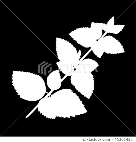 Melissa or lemon balm isolated logo icon. Melissa or lemon balm isolated logo icon. 45305423
