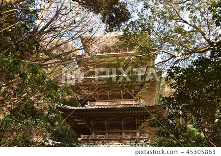 Ryukuji寺五層塔藤澤市 45305863