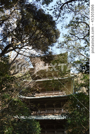 Ryukuji寺五層塔藤澤市 45305866