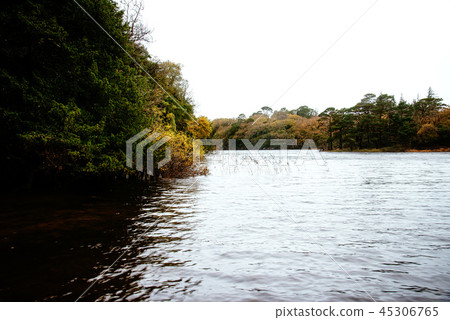 Scenic view of lake in Killarney a misty day  45306765