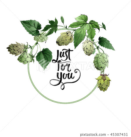 Hops. Green leaf. Frame border ornament. Just for you handwriting monogram calligraphy. Garden 45307431