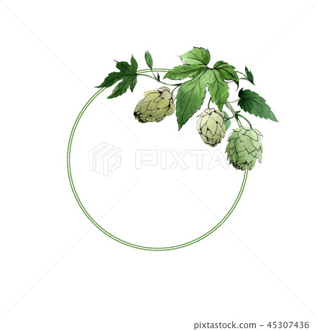 Hops. Green leaf. Frame border ornament. Botanical garden floral foliage. Background watercolor Hops. Green leaf. Frame border ornament. Botanical garden floral foliage. Background watercolor 45307436