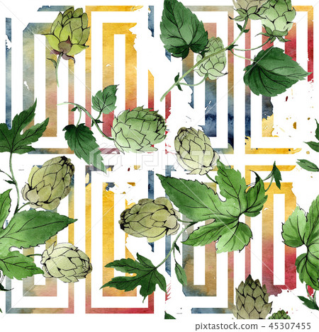 Hops. Green leaf. Leaf plant botanical garden floral foliage. Watercolor background illustration set 45307455