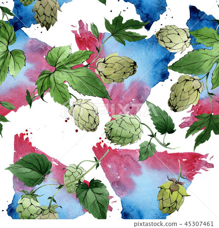 Hops. Green leaf. Botanical garden floral foliage. Watercolor background illustration set. Hops. Green leaf. Botanical garden floral foliage. Watercolor background illustration set. 45307461