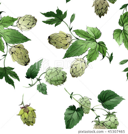 Hops. Green leaf. Botanical garden floral foliage. Watercolor background illustration set Hops. Green leaf. Botanical garden floral foliage. Watercolor background illustration set 45307465