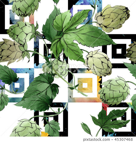 Hops. Green leaf. Botanical garden floral foliage. Watercolor background illustration set Hops. Green leaf. Botanical garden floral foliage. Watercolor background illustration set 45307468