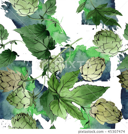 Hops. Green leaf. Botanical garden floral foliage. Watercolor background illustration set Hops. Green leaf. Botanical garden floral foliage. Watercolor background illustration set 45307474
