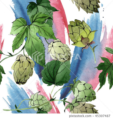 Hops. Green leaf. Botanical garden floral foliage. Watercolor background illustration set Hops. Green leaf. Botanical garden floral foliage. Watercolor background illustration set 45307487