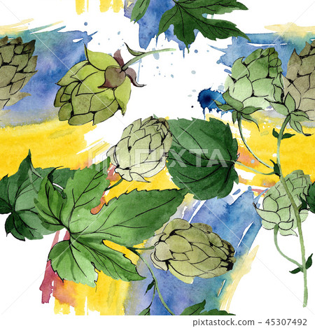 Hops. Green leaf. Botanical garden floral foliage. Watercolor background illustration set Hops. Green leaf. Botanical garden floral foliage. Watercolor background illustration set 45307492