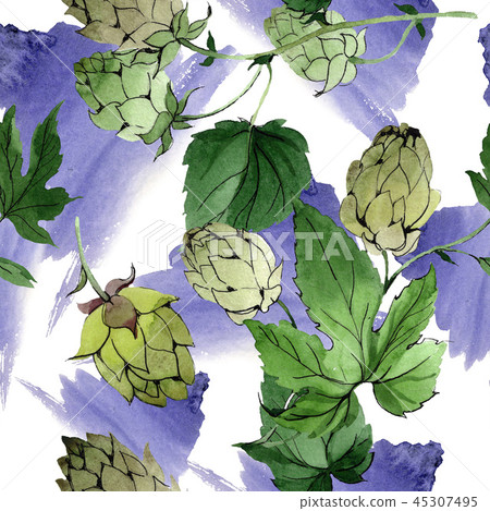 Hops. Green leaf. Botanical garden floral foliage. Watercolor background illustration set Hops. Green leaf. Botanical garden floral foliage. Watercolor background illustration set 45307495