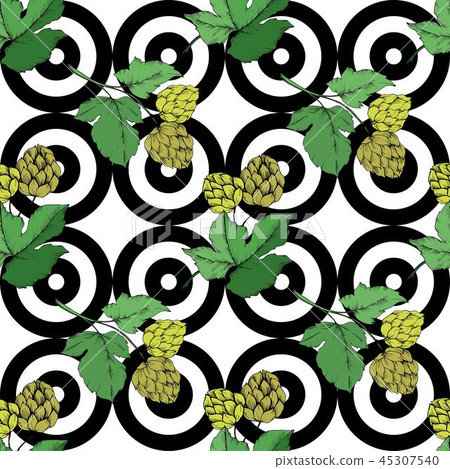 Vector. Black and white engraved humulus ink art. Green leaf. Leaf plant 45307540