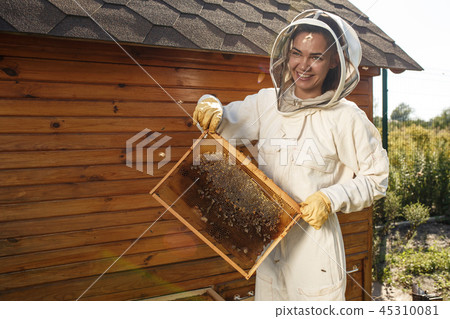 Young female beekeeper hold wooden frame honeycomb Young female beekeeper hold wooden frame honeycomb 45310081