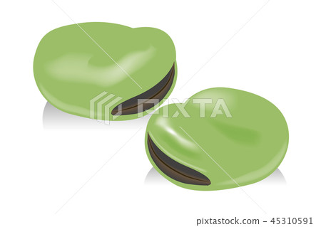 Sora beans illustration | food illustration white background | Broad beans vector data 45310591