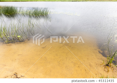 shore lake water 45311435