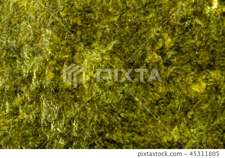 烤紫菜海藻 45311805