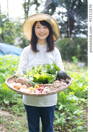 Agriculture Vegetable Producer Harvest Farmer Agriculture Vegetable Producer Harvest Farmer 45311876