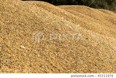 mixed grains 45311978