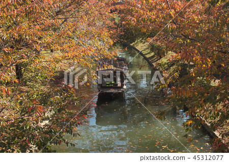 京都伏見Ujikawa秋天學校 京都伏見Ujikawa秋天學校 45312077
