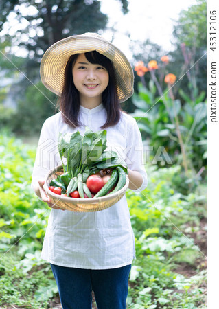 農業蔬菜生產者收穫農民 農業蔬菜生產者收穫農民 45312106