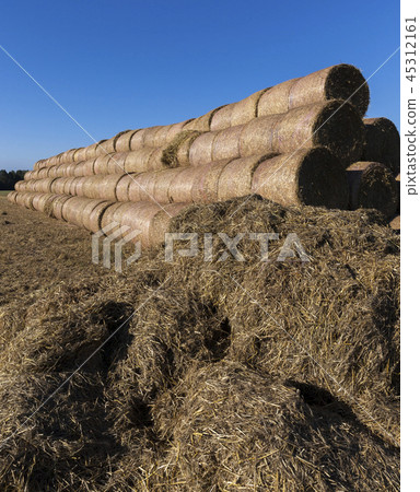 straw huge 45312161