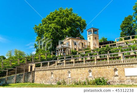 Winzerberg, the former royal vineyard at Sanssouci in Potsdam, Germany 45312238