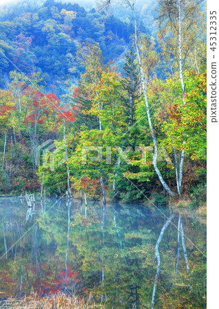 池塘上色與秋天顏色 45312335