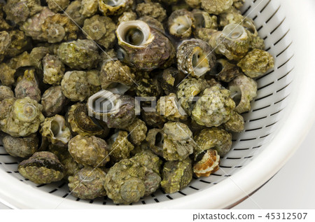 Thimbola(Kangikugai)磨出來了 Thimbola(Kangikugai)磨出來了 45312507