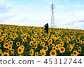 Scenery with flowers 45312744