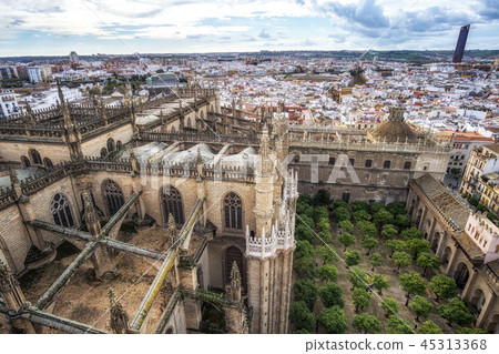 Seville cathedral and city view 45313368