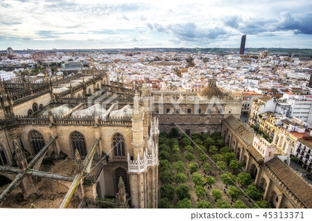Seville cathedral and city view 45313371