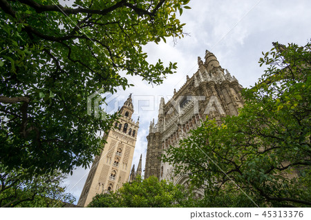 View of Giralda from orange tree courtyard 45313376