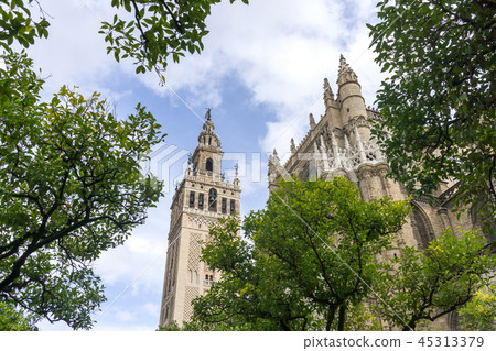 View of Giralda from orange tree courtyard 45313379