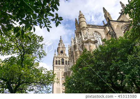 View of Giralda from orange tree courtyard 45313380