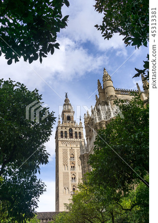 View of Giralda from orange tree courtyard 45313381