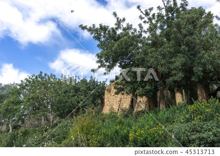 park guell columns and viaducts 45313713