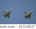 鷹 45314027