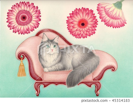 Cat sofa 45314183