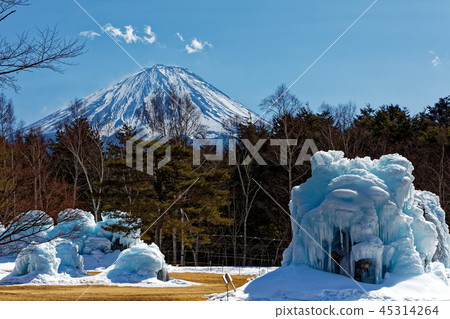 西湖野鳥森林公園的冰柱和富士山 45314264