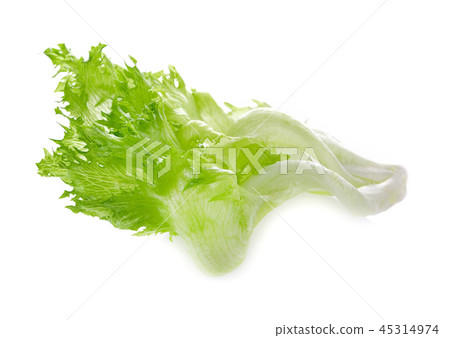 lettuce leaves isolated on white background. 45314974
