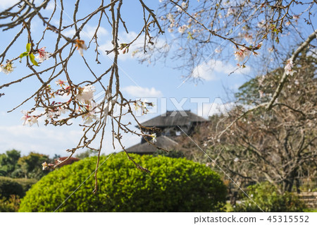 Yoraku-en's Hobun-n 45315552