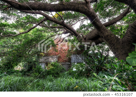 Jinguashi old abandoned building 45316107