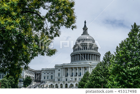 United States Capitol (United States Capitol) United States Capitol (United States Capitol) 45317498