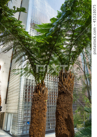 銀座索尼公園 銀座索尼公園 45318075