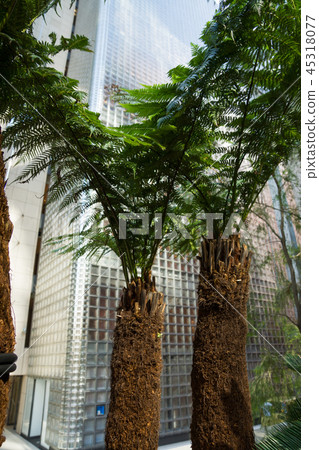 銀座索尼公園 45318077