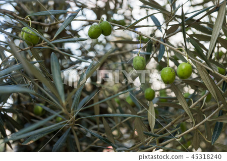 銀座索尼公園 銀座索尼公園 45318240